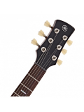 REVSTAR PROFESSIONAL RSP20X (Rusty Brass Charcoal), зображення 4