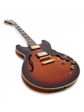 SA2200 (Brown Sunburst), зображення 2