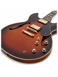 SA2200 (Brown Sunburst), зображення 3