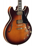 SA2200 (Brown Sunburst), зображення 5