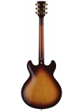 SA2200 (Brown Sunburst), зображення 11