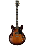 SA2200 (Brown Sunburst), зображення 1