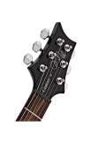 SE Custom 24 (Black Gold Burst), зображення 5