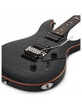 SE Custom 24 Floyd (Charcoal Burst), зображення 4