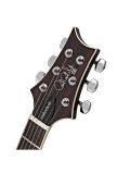 SE Hollowbody Standard (McCarty Tobacco Sunburst), зображення 5