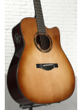 TAG3 C TransAcoustic (Sand Burst), зображення 2