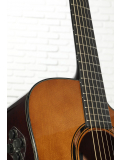 TAG3 C TransAcoustic (Sand Burst), зображення 4