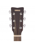 TAS1C TransAcoustic (Sand Burst), зображення 8