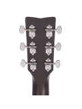 TAS1C TransAcoustic (Sand Burst), зображення 9