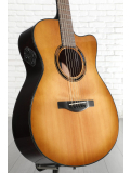 TAS1C TransAcoustic (Sand Burst), зображення 3
