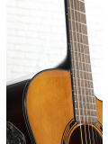 TAS1C TransAcoustic (Sand Burst), зображення 6