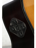 TAS1C TransAcoustic (Sand Burst), зображення 4