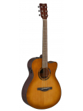 TAS1C TransAcoustic (Sand Burst), зображення 1