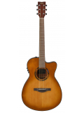 TAS1C TransAcoustic (Sand Burst), зображення 2