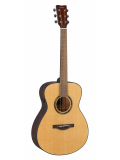 TAS1E TransAcoustic (Natural), зображення 1