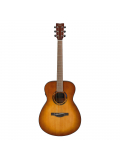TAS1E TransAcoustic (Sand Burst), зображення 3