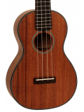 UKE-BWC Concert (Open Pore), зображення 2