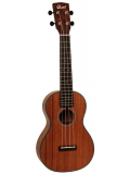 UKE-BWC Concert (Open Pore), зображення 1