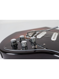 VARIAX STANDARD (Sunburst), зображення 4