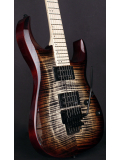 X300 (Brown Burst), зображення 3