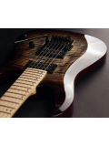 X300 (Brown Burst), зображення 4