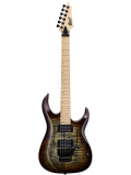 X300 (Brown Burst), зображення 1