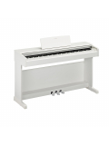 ARIUS YDP-145 (White), зображення 1