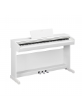 ARIUS YDP-146 (White), зображення 1
