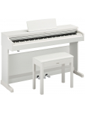 ARIUS YDP-164 (White), зображення 1