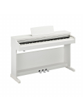 ARIUS YDP-165 (White), зображення 1