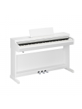 ARIUS YDP-166 (White), зображення 1