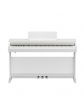 ARIUS YDP-166 (White), зображення 2