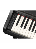 ARIUS YDP-166 (Black), зображення 4