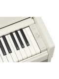 ARIUS YDP-S36 (White Birch), зображення 5