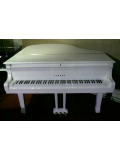 C1 (Polished White), зображення 2