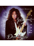 8811 Yngwie, зображення 1