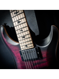 DW CE 24 FLOYD (Waring Burst) #0346593, зображення 3