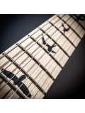 DW CE 24 FLOYD (Waring Burst) #0346593, зображення 6