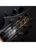 DW CE 24 FLOYD (Waring Burst) #0346593, зображення 4