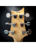 CE 24 Semi-Hollow (Faded Grey Black) #0341371, зображення 6
