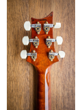 Paul's Guitar 10-Top (Yellow Tiger) #0369896, зображення 2