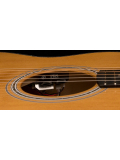 SE A50E (Natural w/ Black Gold Burst), зображення 6