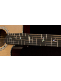 SE A50E (Natural w/ Black Gold Burst), зображення 8