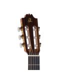 Virtuoso EC, зображення 3