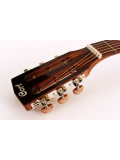 AP550 (Vintage Burst), зображення 5