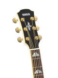 APX1000 (Pearl White), зображення 3