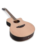 APX600 (Natural), зображення 8