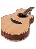 APX700 II-12 (Natural), зображення 3