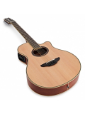 APX700 II-12 (Natural), зображення 8