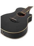 APX700 II (Black), зображення 2
